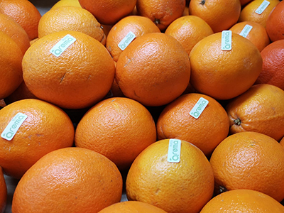 Naranja Dulce de Mesa